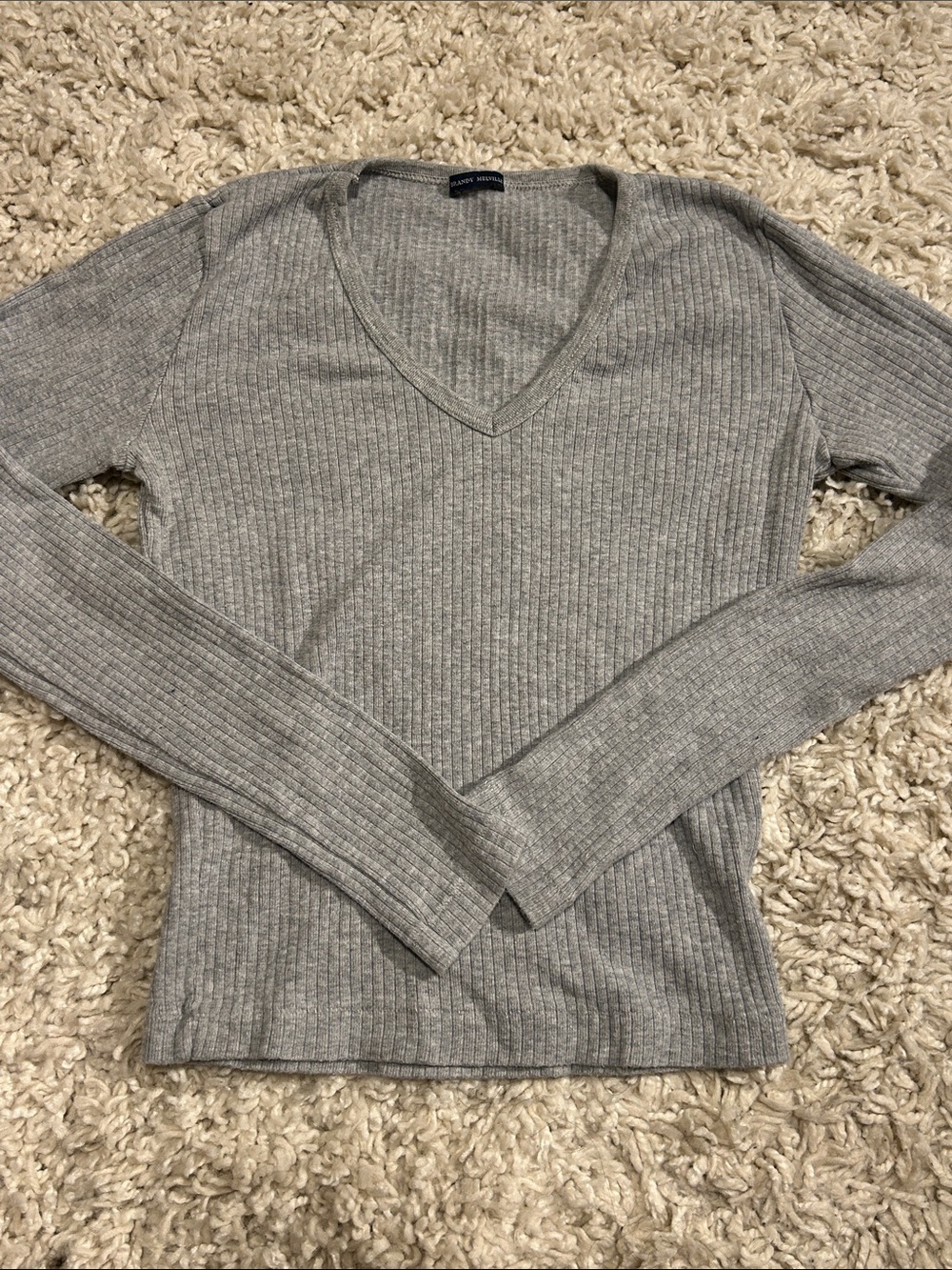 Brandy Melville Gray Ribbed V-Neck